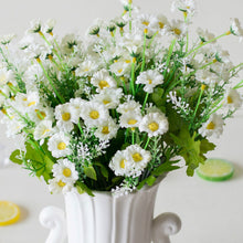 Load image into Gallery viewer, Heads Spring Daisy Flowers