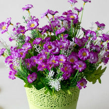 Load image into Gallery viewer, Heads Spring Daisy Flowers