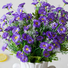 Load image into Gallery viewer, Heads Spring Daisy Flowers