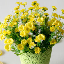 Load image into Gallery viewer, Heads Spring Daisy Flowers