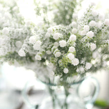 Load image into Gallery viewer, WANWEILEG Gypsophila Artificial Flower