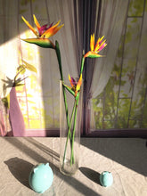 Load image into Gallery viewer, INDIGO-Single Flower